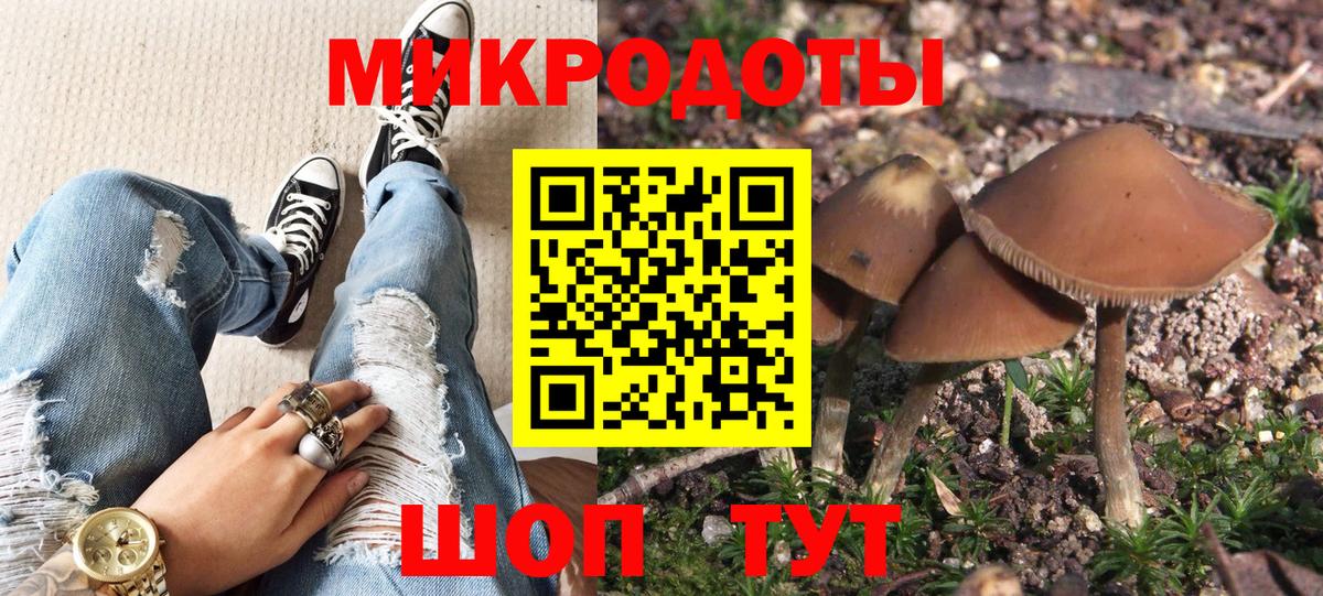 Балашов  Псилоцибиновые грибы Cubensis  Галлюциногенные грибы мухоморы  Вход с VPN 