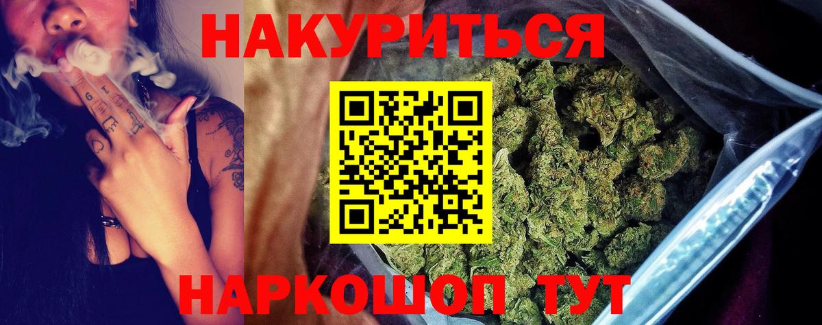 Конопля сатива Балашов